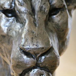 Lioness Head sculpture by Nadine Collinson