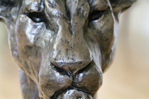 Lioness Head sculpture by Nadine Collinson