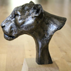 Lioness Head sculpture by Nadine Collinson