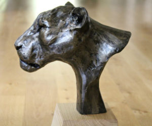Lioness Head sculpture by Nadine Collinson