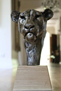 Lioness Head sculpture by Nadine Collinson