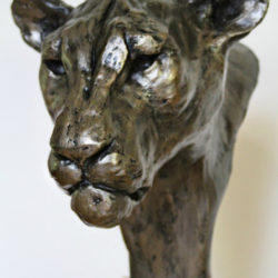 Lioness Head sculpture by Nadine Collinson