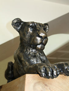 Lioness Resting sculpture by Nadine Collinson