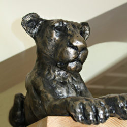 Lioness Resting sculpture by Nadine Collinson