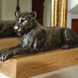 Lioness Resting sculpture by Nadine Collinson