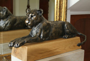 Lioness Resting sculpture by Nadine Collinson