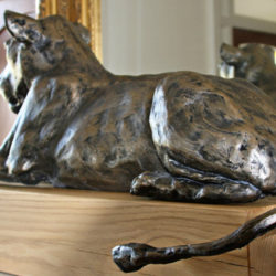 Lioness Resting sculpture by Nadine Collinson