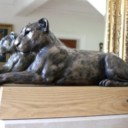 Lioness Resting sculpture by Nadine Collinson