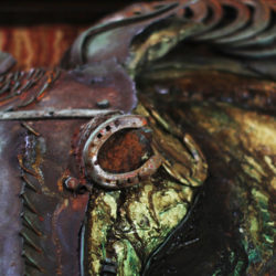 Horse in Armour