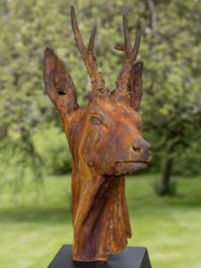 Roe Deer by Nadine Collinson