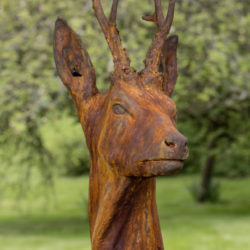 Roe Deer by Nadine Collinson