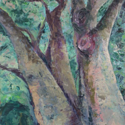Beech Tree by Nadine Collinson